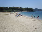 いわぴいさんの県民の浜の投稿写真2