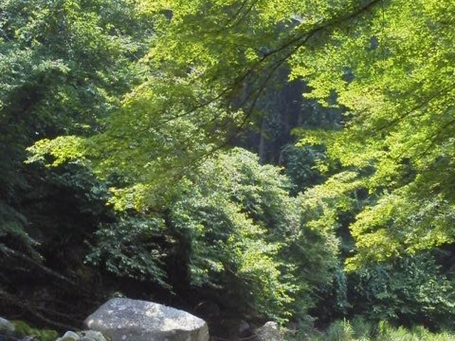 渓流荘キャンプ場