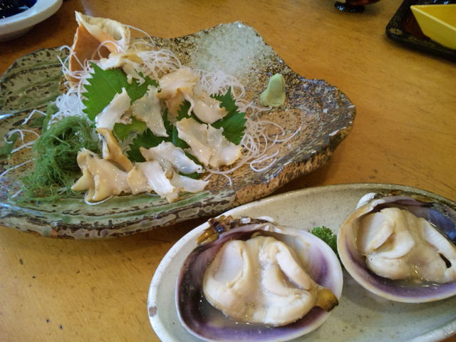 辰巳 蒲郡
