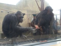 旭山動物園の写真1