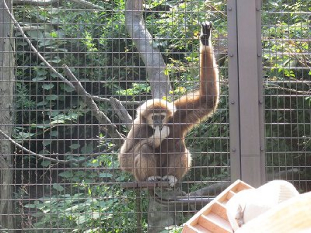金沢動物園