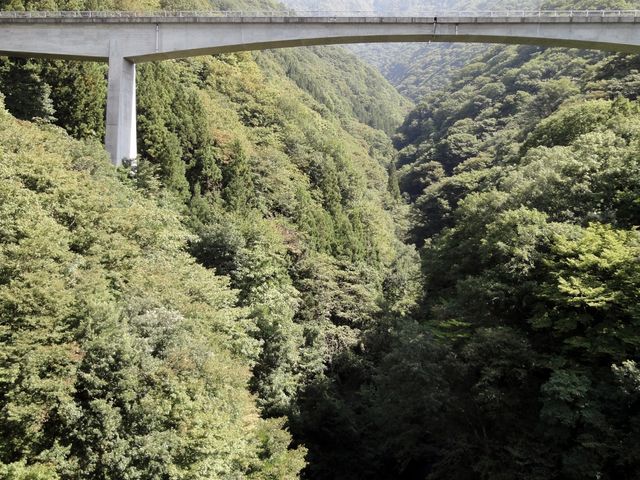 お座トロ電車からの眺め_大川ライン