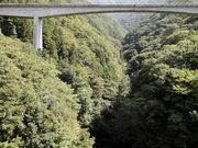 まきさんの大川ラインの投稿写真1
