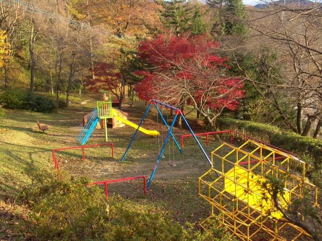 okeiさんの中央公園の投稿写真4