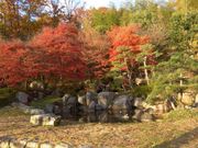 okeiさんの中央公園の投稿写真2