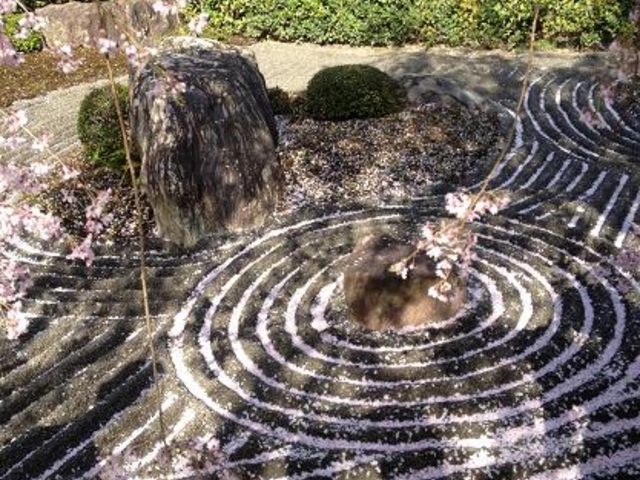 枯山水_退蔵院