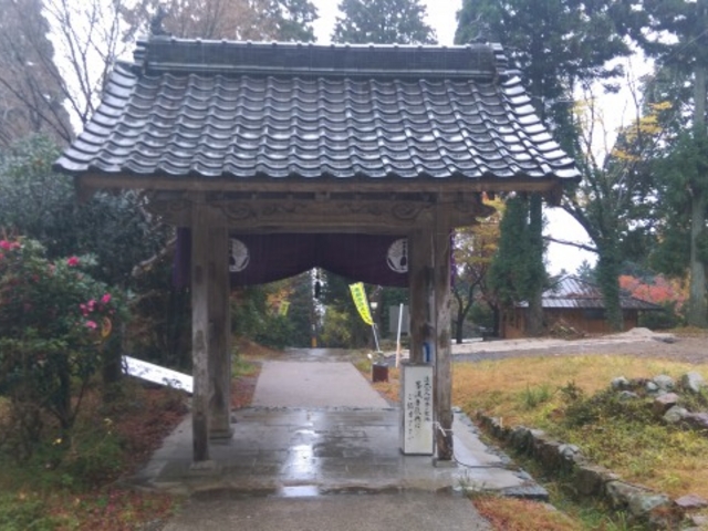 AVEさんの菩提寺のイチョウの投稿写真2