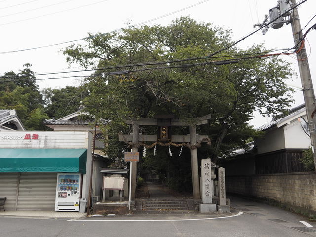 篠村八幡宮_篠村八幡宮
