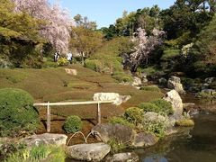 ギグスさんの退蔵院の投稿写真1