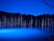 Yasuさんの青い池の投稿写真1