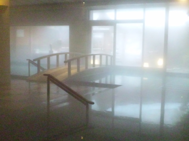 内湯_ホテルニュー水戸屋