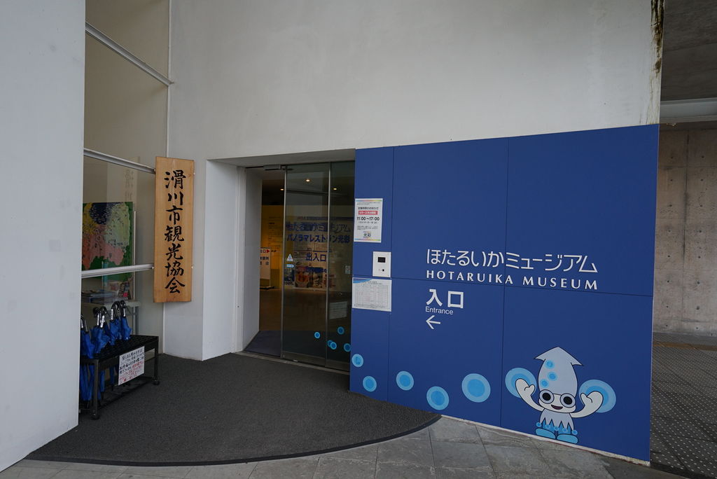 ほたるいかミュージアム