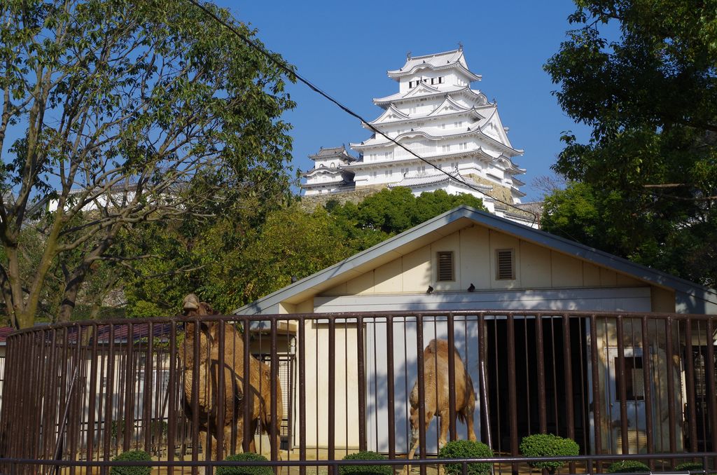 姫路市立動物園