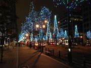 きっつさんの御堂筋の投稿写真1