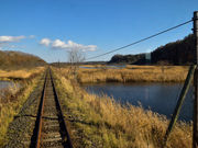 こたぴさんの別寒辺牛湿原の投稿写真1
