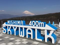 ミチさんの三島スカイウォークへの投稿写真1