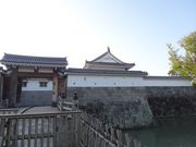 キヨさんの駿府城址の投稿写真1