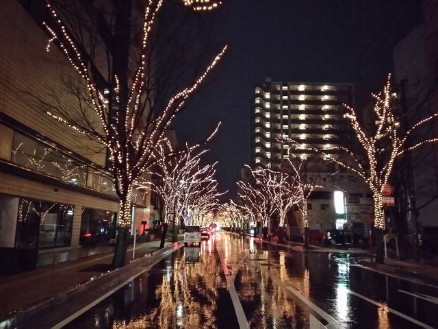 けやき通り