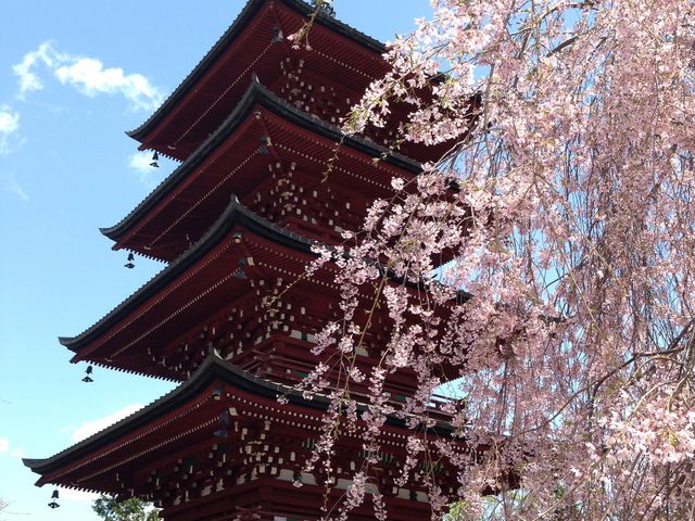 青空によく映える_最勝院五重塔