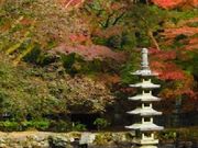 rascalrieさんの延命寺の投稿写真1