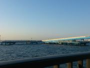 あまあまさんのオリジナルメーカー海づり公園の投稿写真2