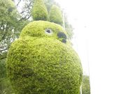 興津さんの寝屋川公園の投稿写真1