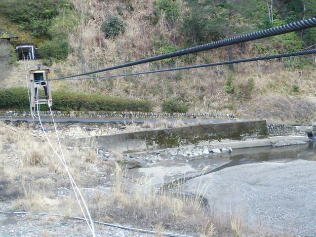 野猿_昴の郷