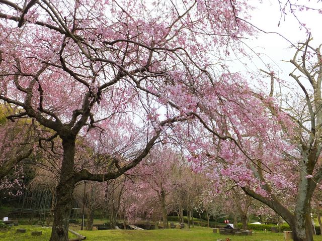 荒井城址公園