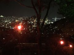 立山公園の桜の写真2