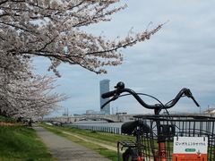 やすらぎ堤の写真1
