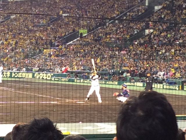 選手を間近で_阪神甲子園球場