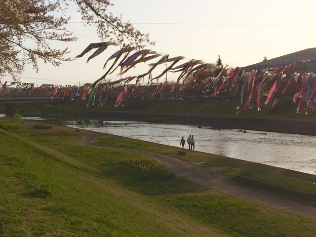 4月半ばで終わり_釈迦堂川ふれあいロードの桜並木