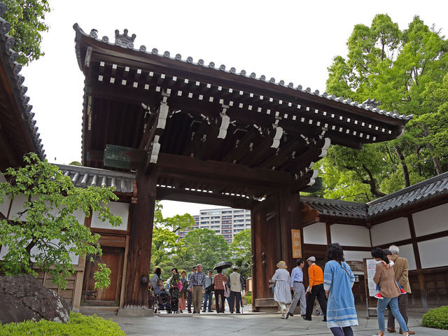 正門_相楽園の菊