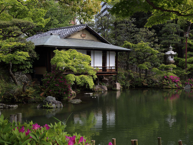 茶室浣心亭_相楽園の菊