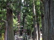 熊太郎さんの諏訪神社の投稿写真1