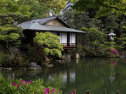 イナッペさんの相楽園の菊の投稿写真3