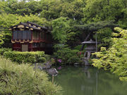 イナッペさんの相楽園の菊の投稿写真4