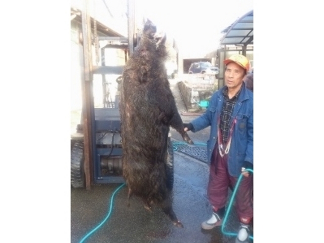 こちらも大物でした!_魚清寿