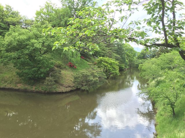 お堀の周りは新緑が鮮やか_上田城跡公園