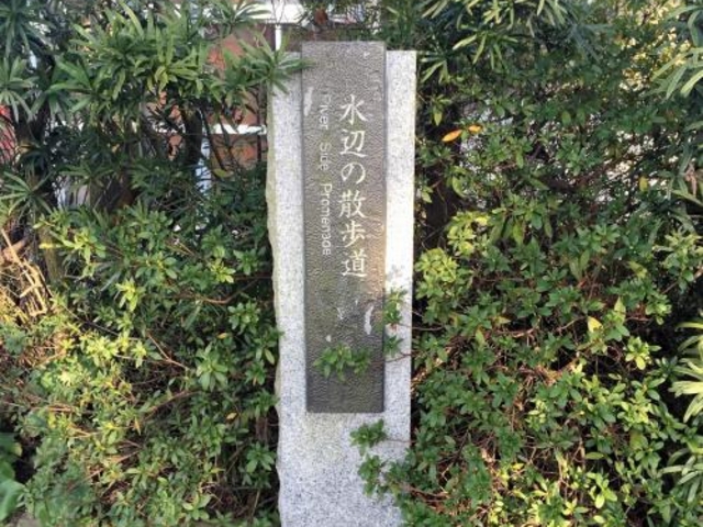 水辺の散歩道_水辺の散歩道