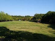 だいいとくんさんの三木山森林公園の投稿写真2