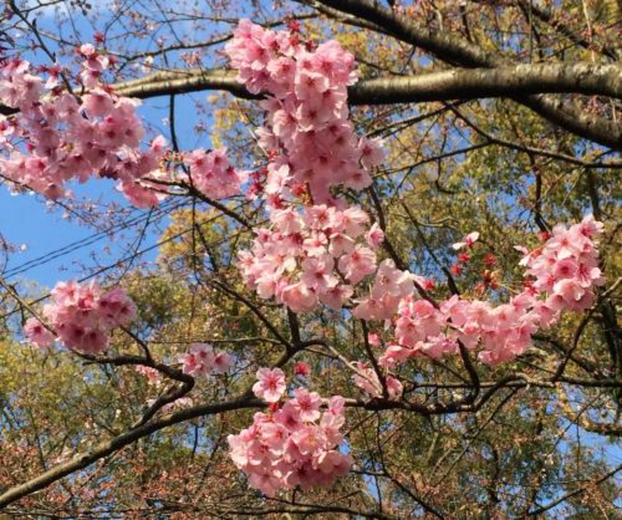 西公園