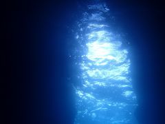 もちさんのB-natureへの投稿写真1