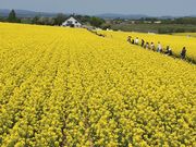 やすさんの道の駅 たきかわの投稿写真1