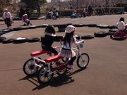 かなかのさんの於大公園の投稿写真3