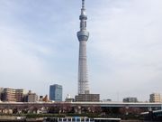 あんずさんの隅田公園の投稿写真1
