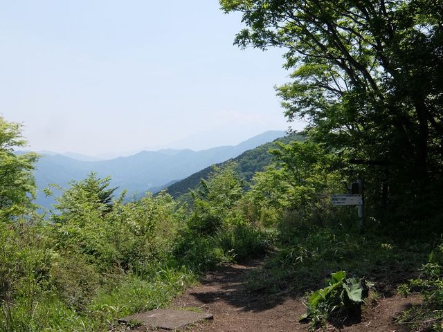 鬼瓦三十郎さんの菜畑山の投稿写真1