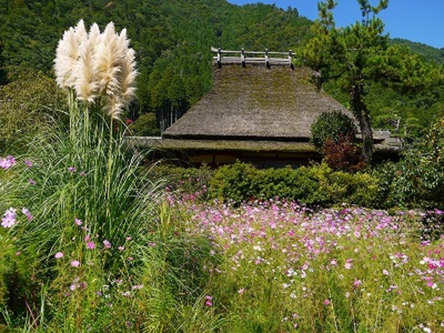 京都府南丹市美山町かやぶきの里_美山町自然文化村キャンプ場