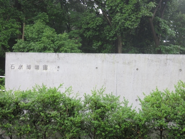 外観_石水博物館