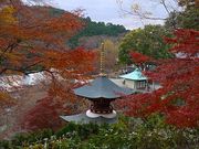 マックさんの勝尾寺の投稿写真6